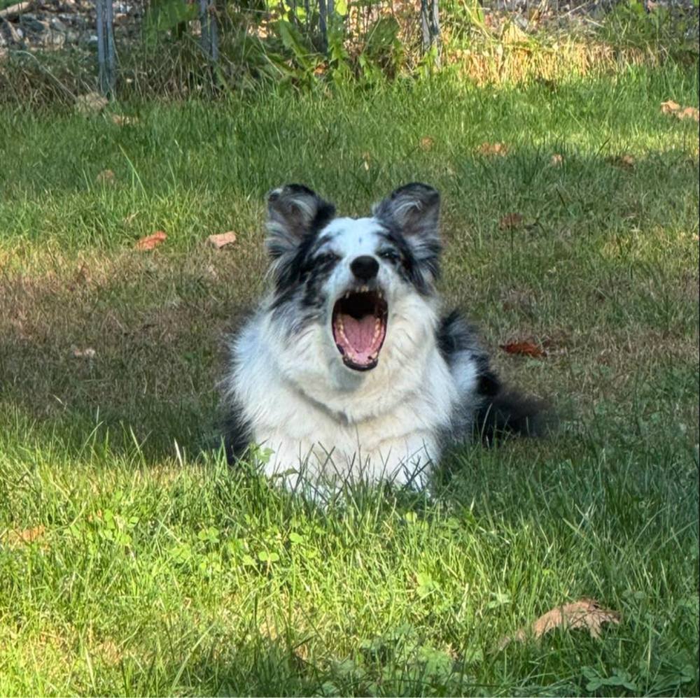 Meet your Posher, Jeannie